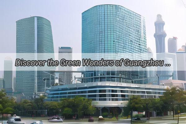 Discover the Green Wonders of Guangzhou A Photographers Paradise Awaits